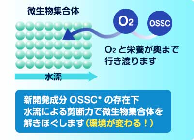 新開発成分OSSCの存在下、水流による剪断力で微生物集合体を解きほぐします